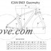 ICAN Golden Carbon Fat Bike Knight 18inch - B07FFRFTCK